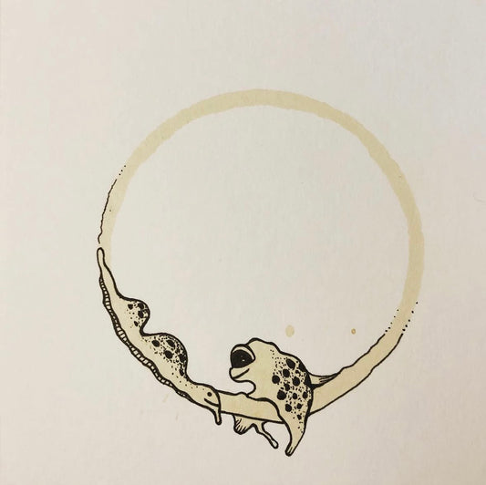 Coffee Ring Frog