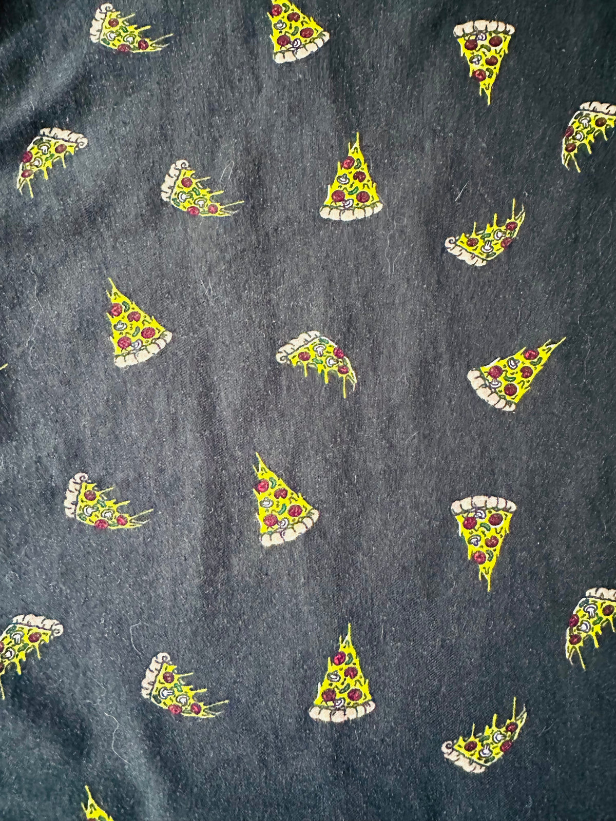 Seat Cover - Pizza